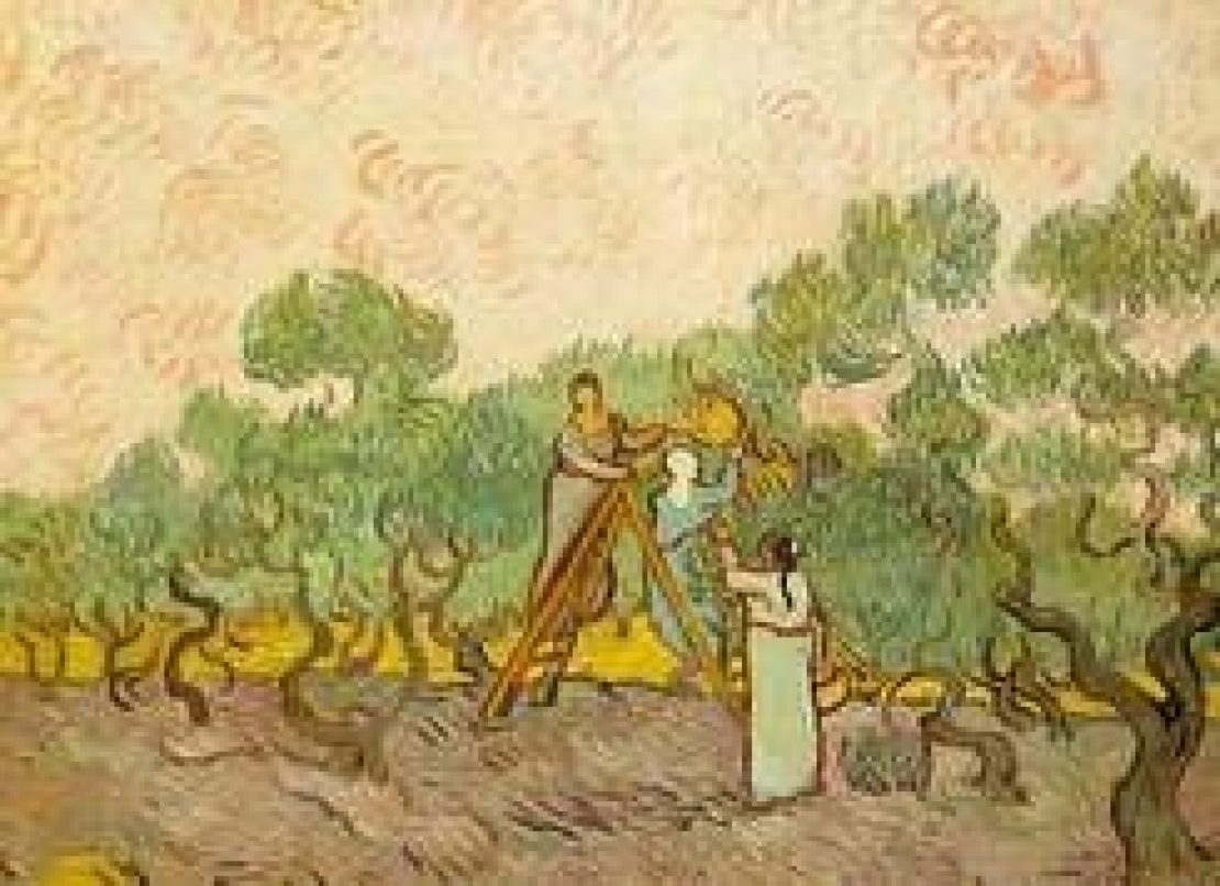 Da Vincent Van Gogh a Joseph Beuys. L'amore per l'olivo e l'olio d'oliva non ha età