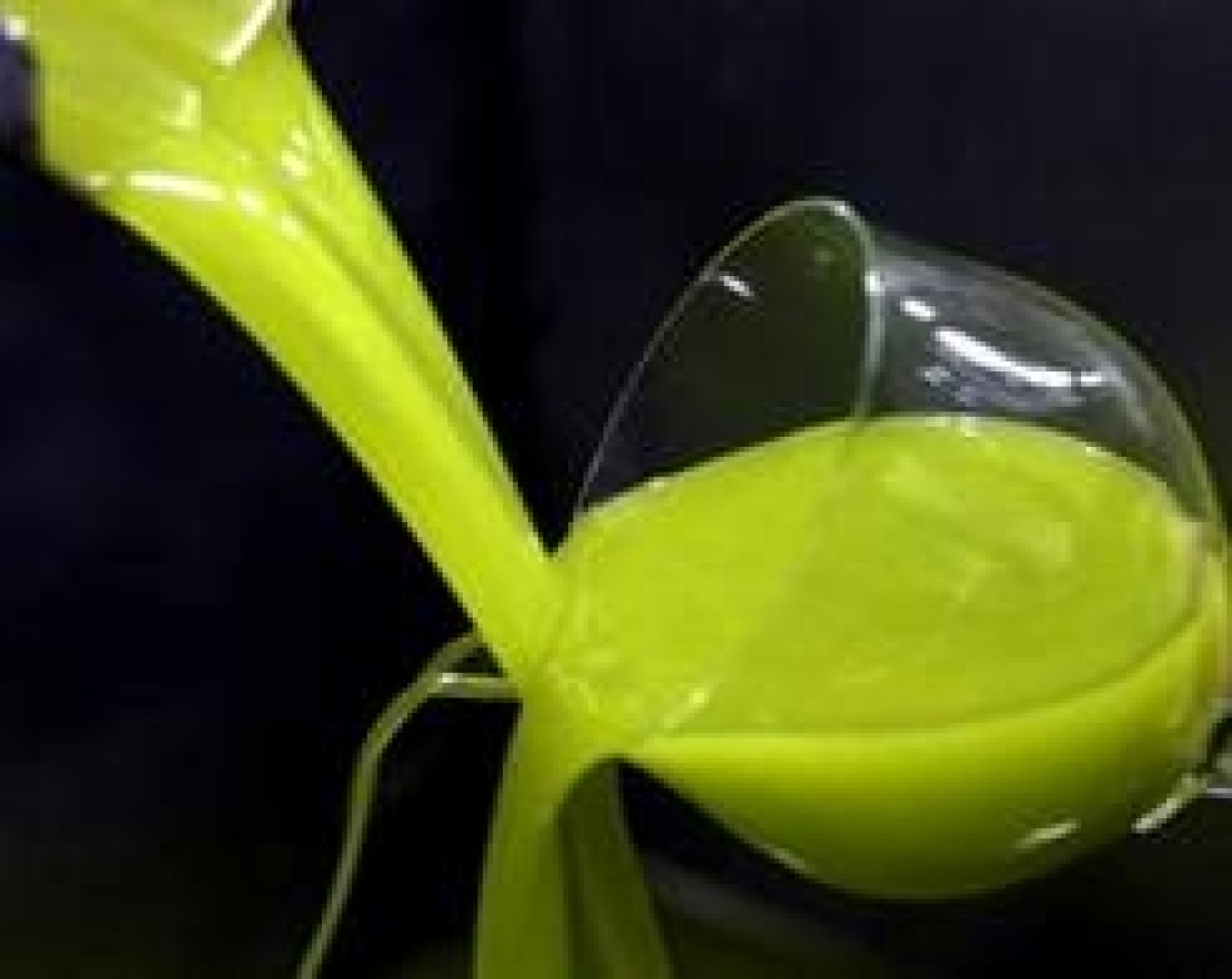 Ricordi, emozioni e sensazioni. Il valore umano dell'olio extra vergine d'oliva