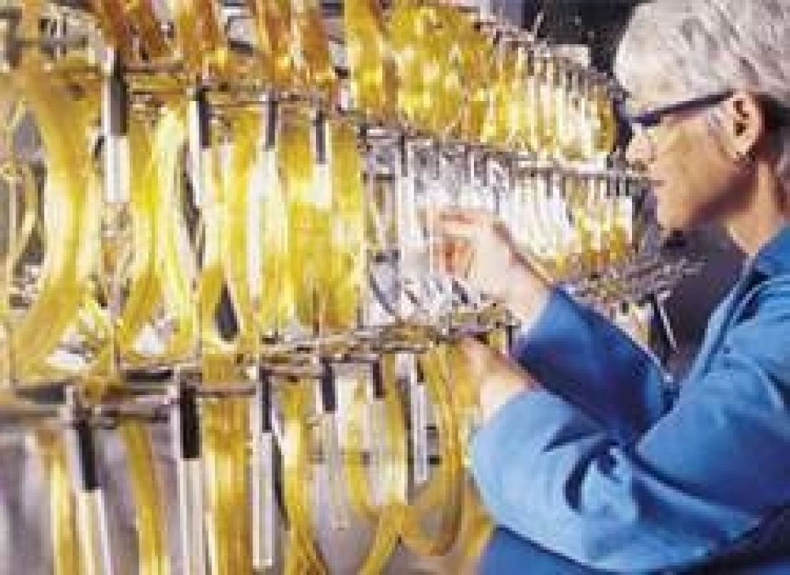 Le molte molecole responsabili dei difetti dell'olio extra vergine di oliva