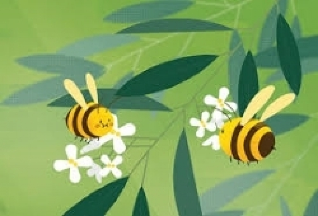 L'ultima fake news nel mondo dell'extra vergine d'oliva: le api fanno l'olio