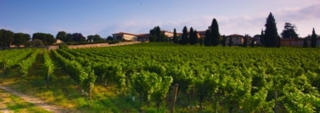 La Franciacorta in nomination come regione viticola dell'anno