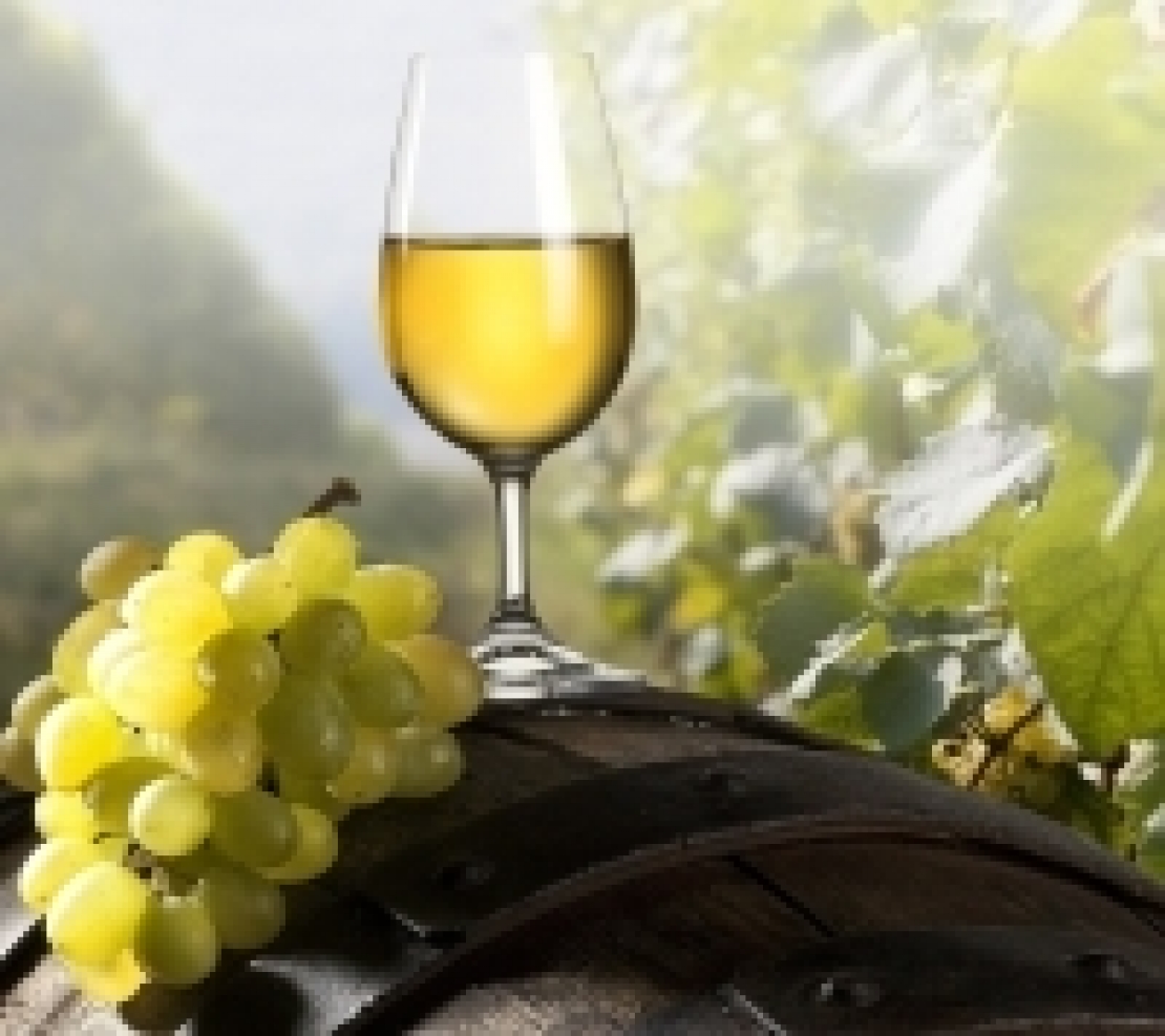 I vini bianchi italiani piacciono perchè autoctoni