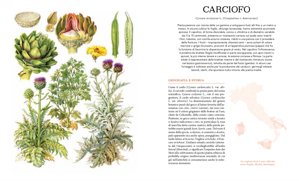 Atlante gastronomico dell’orto: il libro per avviare una piccola rivoluzione gastronomica