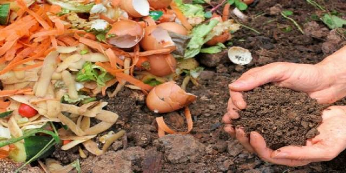 Una nuova vita agli scarti e sottoprodotti dell’industria agroalimentare