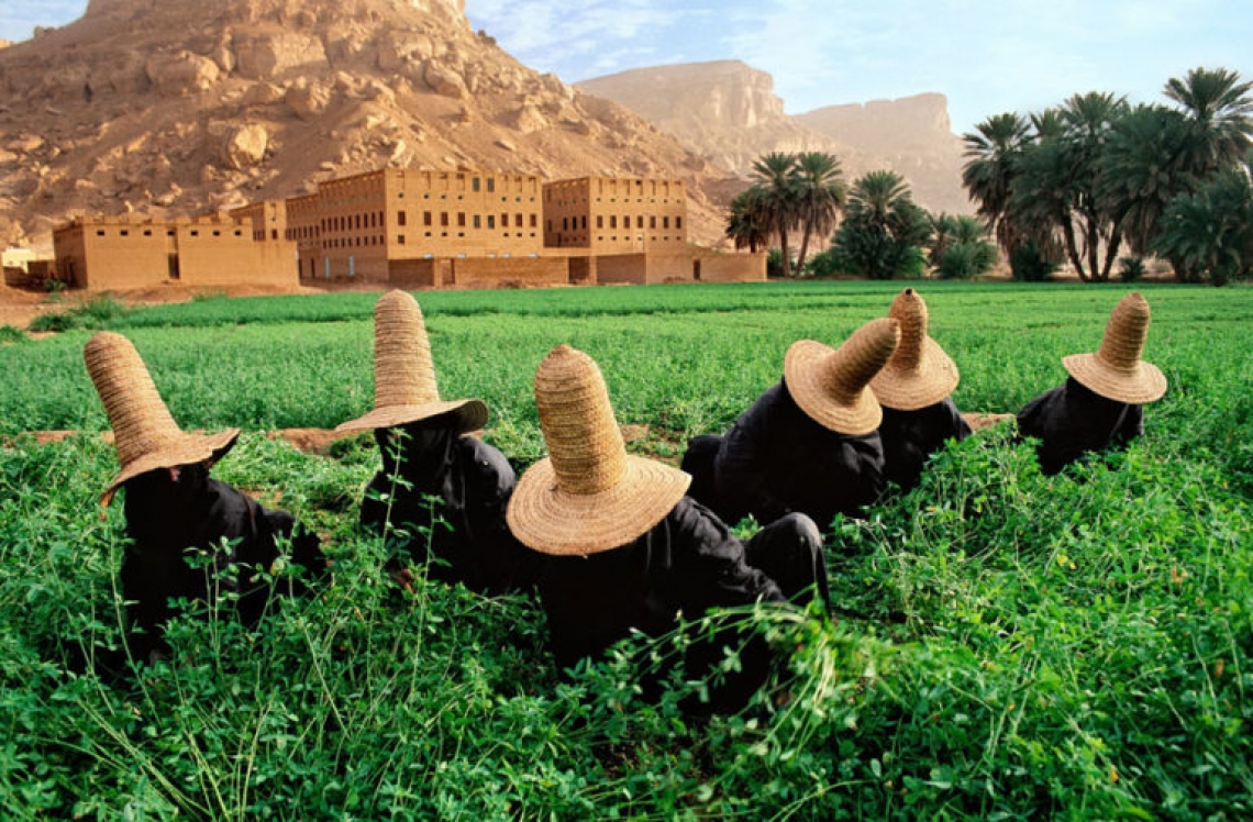 Il mondo del cibo raccontato dal fotoreporter americano Steve McCurry