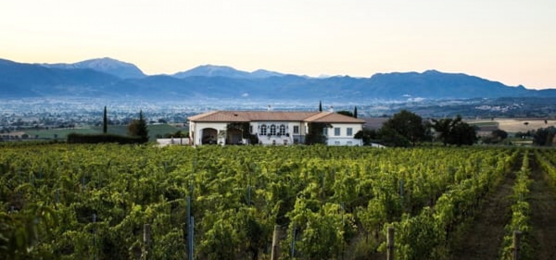 Il Sagrantino continua a mietere successi di pubblico e di critica
