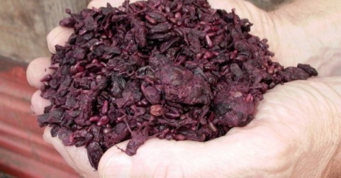 Un'innovativa cella fotovoltaica dalle feccia del vino