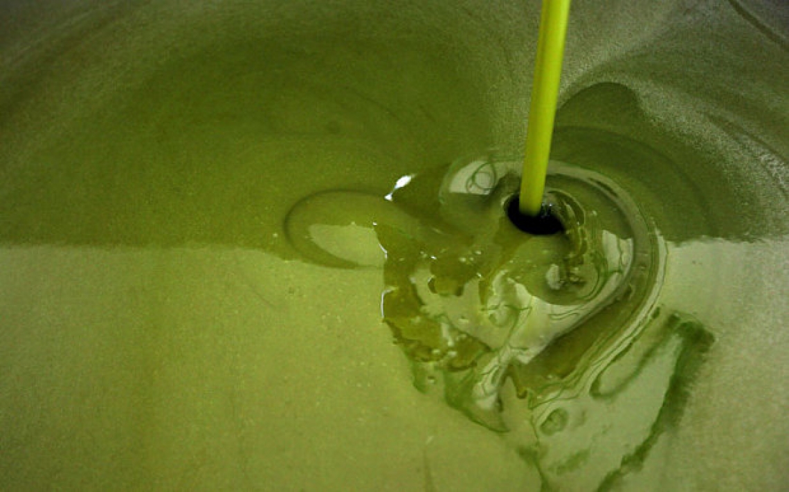 83 centesimi di euro a tonnellata per l'aiuto all'ammasso privato dell'olio d'oliva