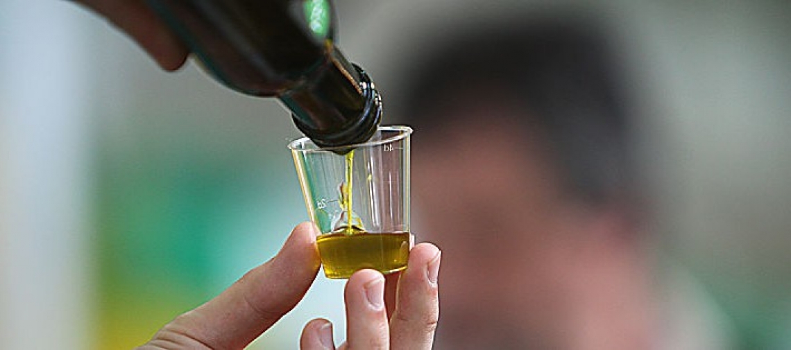 Diventare assaggiatori di olio di oliva a Bologna