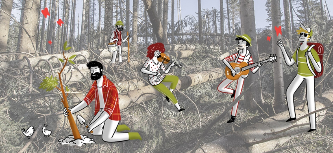 A Natale tutti amici delle foreste: ecco le migliori idee-regalo certificate