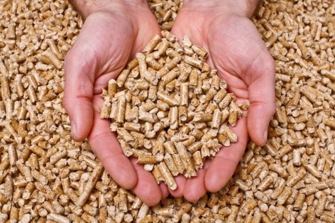 Le biomasse contribuiscono a ridurre le emissioni di anidride carbonica
