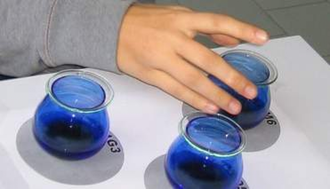 Un diploma universitario in valutazione organolettica dell'olio d'oliva vergine