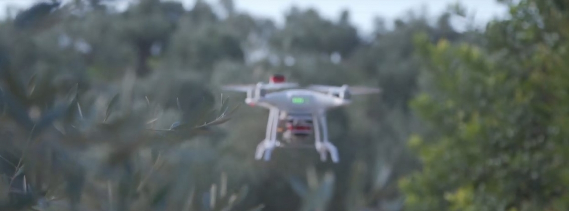 Droni e sensori a sostegno della produzione olivicola in Grecia