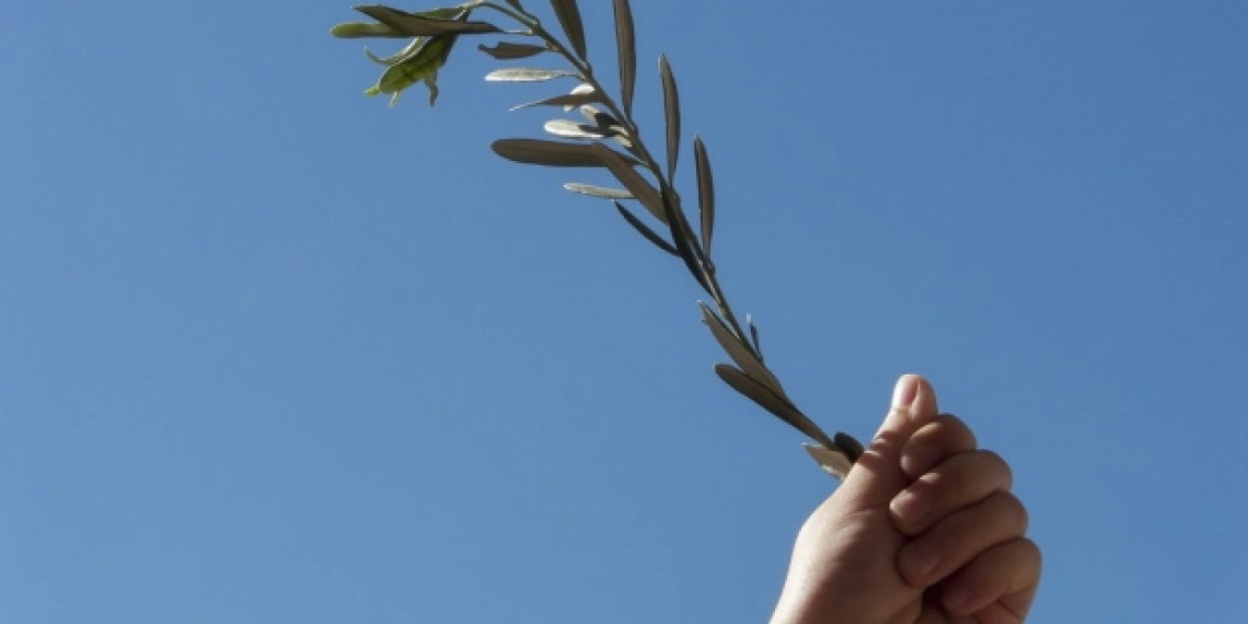 Ascoltare gli olivi per imparare i concetti di pazienza e speranza