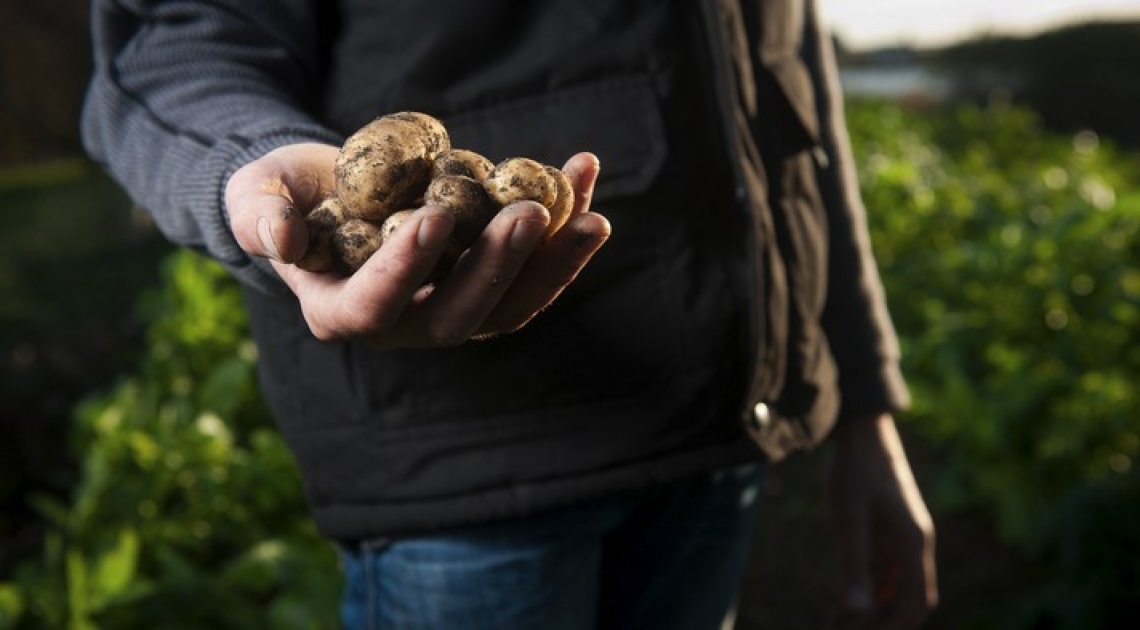 Salute e agricoltura, un binomio molto più stretto di quanto si osa immaginare