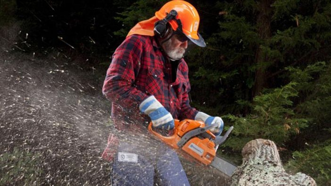 Criteri minimi per la formazione professionale degli operatori forestali