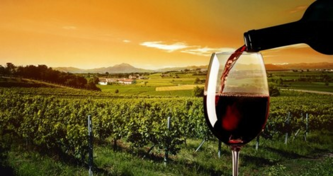 Il vino siciliano in flessione ma tiene