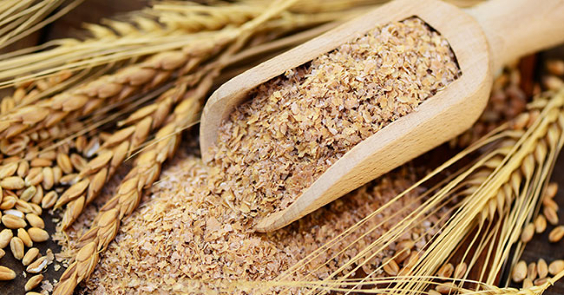 La naturale plasticità genetica dell'orzo senza veli