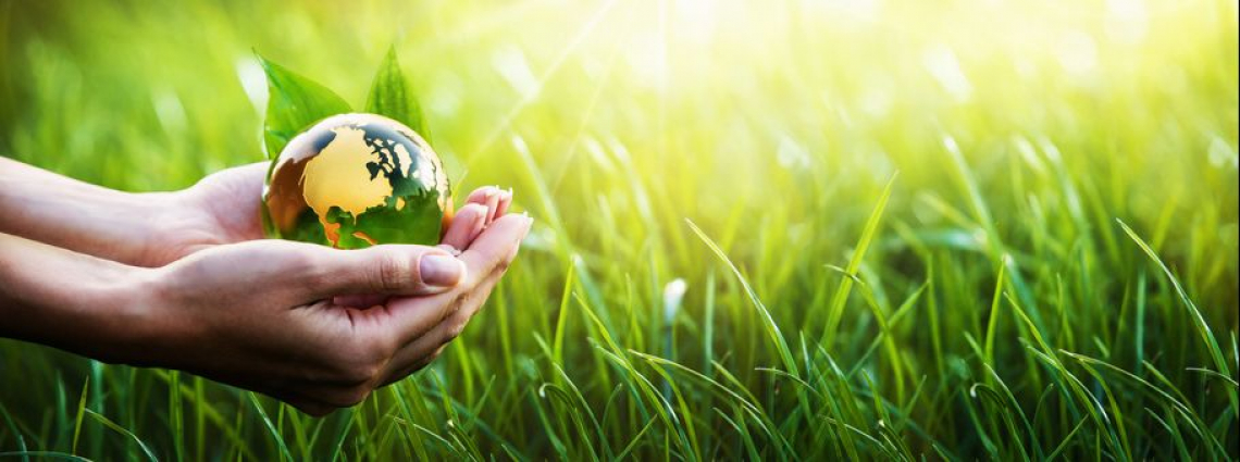Oltre il valore commerciale, la sostenibilità ha un prezzo che non si paga in denaro