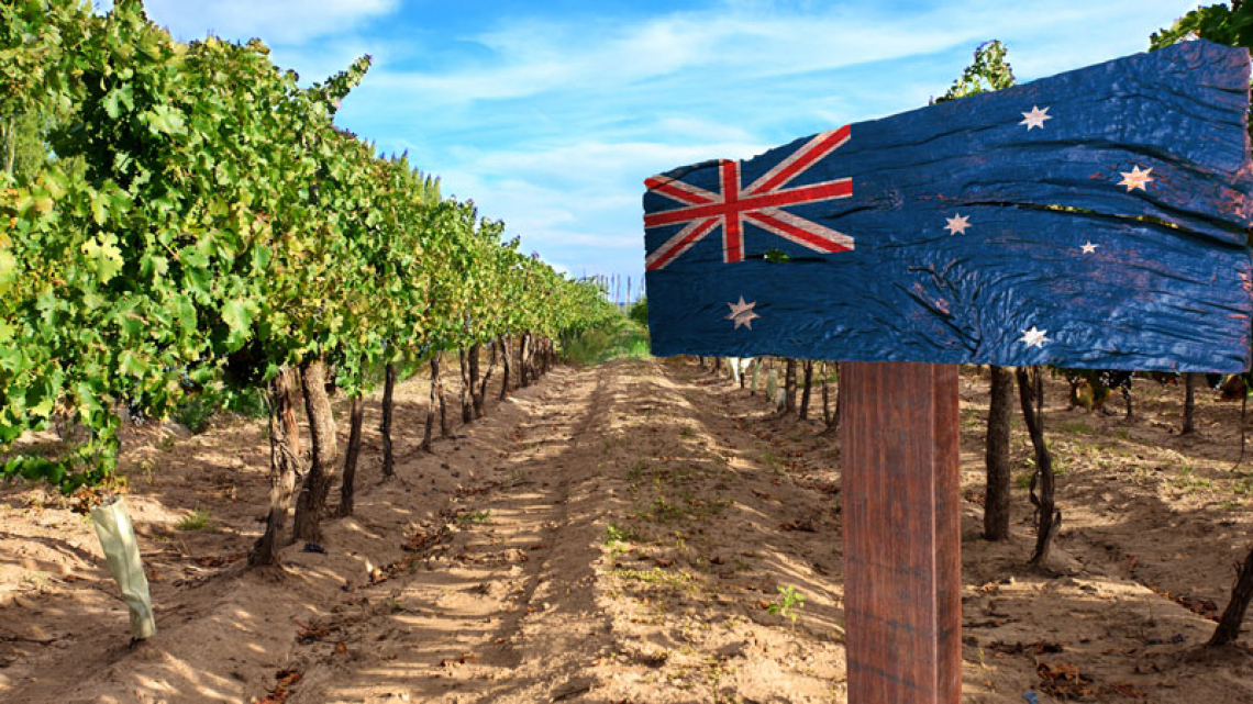 Via libera senza dazi al vino australiano nel Regno Unito