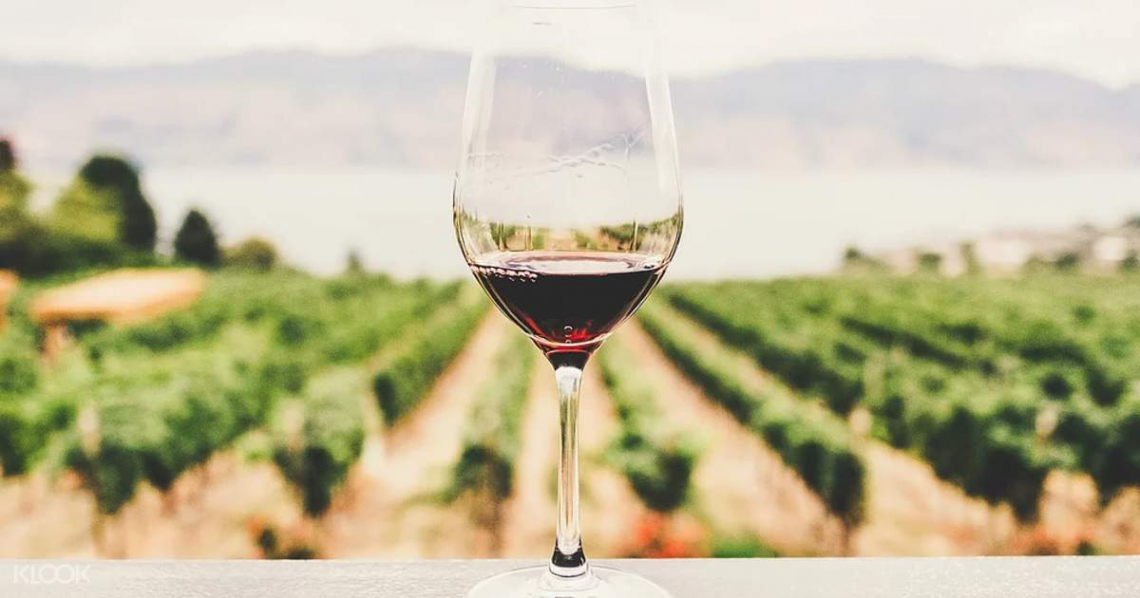 Il comparto vitivinicolo mondiale deve diventare più sostenibile per salvarsi