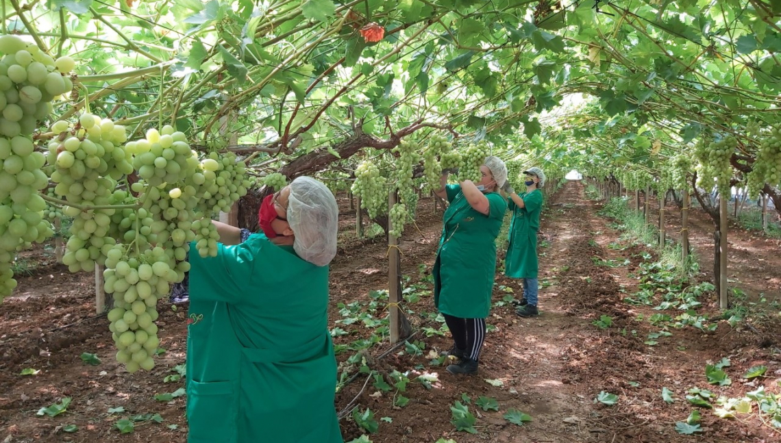 La lotta al caporalato passa da una rivoluzione in rosa