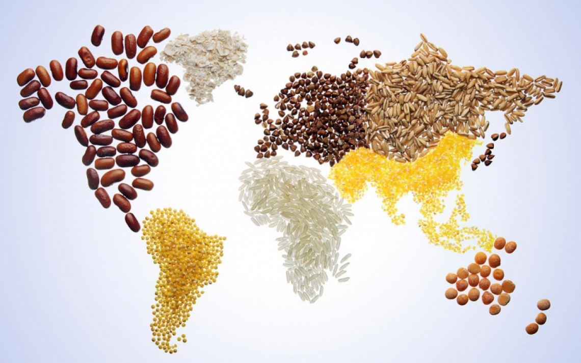 Salvare la Terra partendo da produzione e consumo di cibo