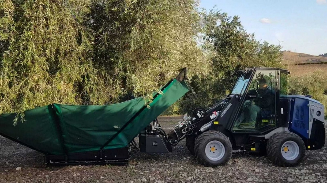 Le giuste frequenze e ampiezza di vibrazione per ottenere la massima efficienza di raccolta delle olive