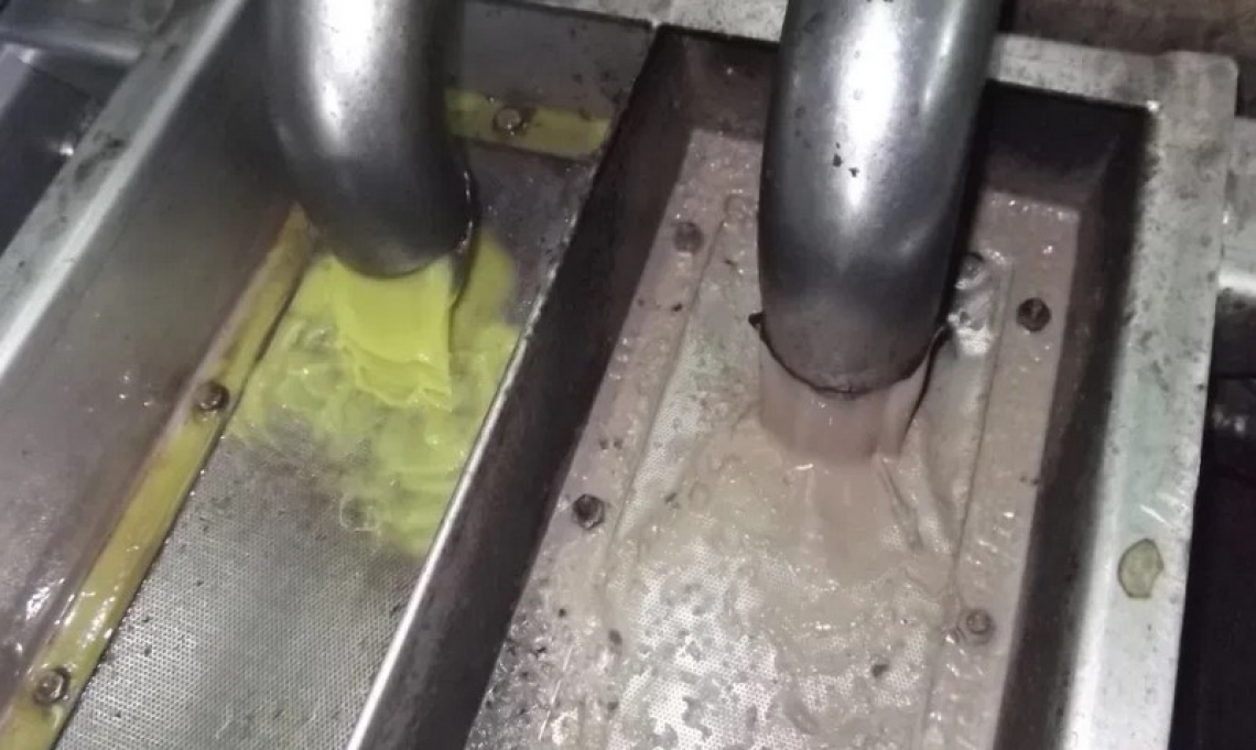 La disponibilità di composti bioattivi nell'olio d'oliva dipende da varietà e frantoio