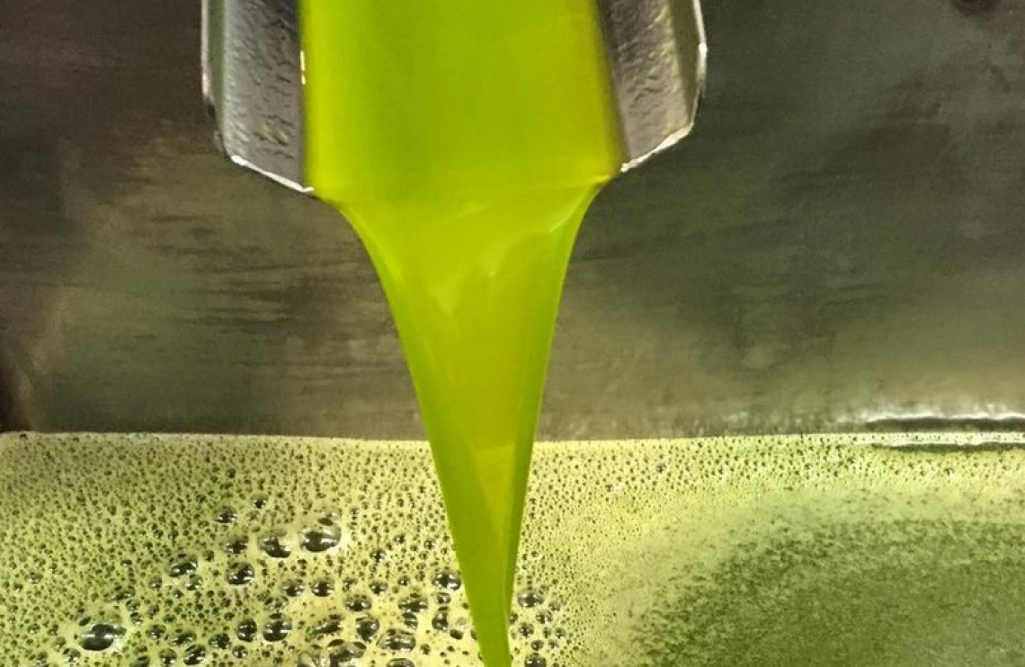 Quanto olio d'oliva realmente perde il frantoio a causa del decanter