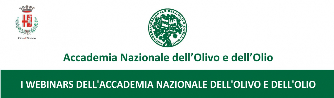 Un ricco programma di webinar autunnali per l'Accademia Nazionale dell'Olivo e dell'Olio