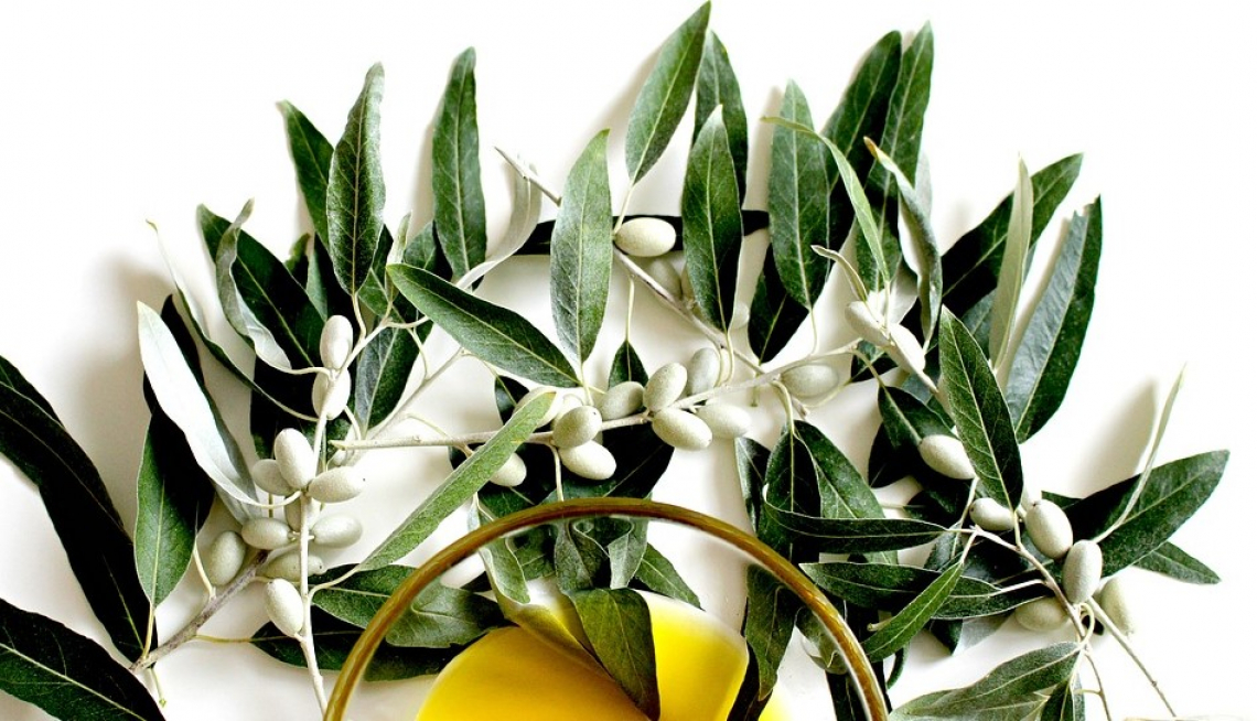 Il 26 novembre l'olivo sia universalmente riconosciuto come protettore del pianeta