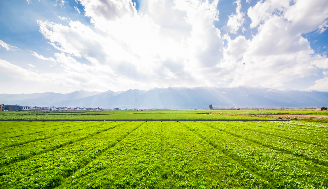 Frenano i prezzi dei terreni agricoli, specie al nord