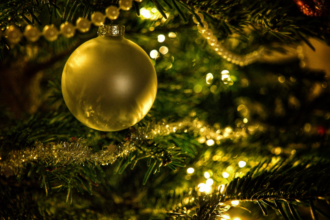Albero di Natale naturale o artificiale: a guidarci &egrave; la scienza