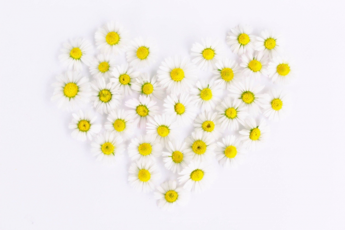Il significato dei fiori: ad ogni colore un'emozione