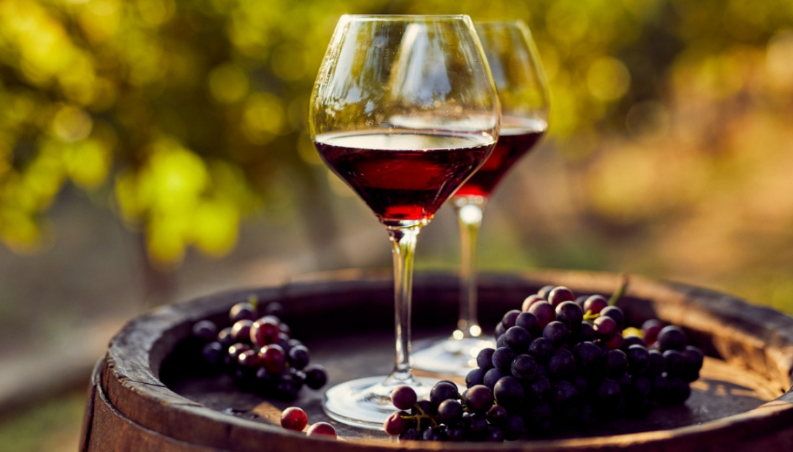 Progetto pilota per una nuova produzione vitivinicola delle Marche