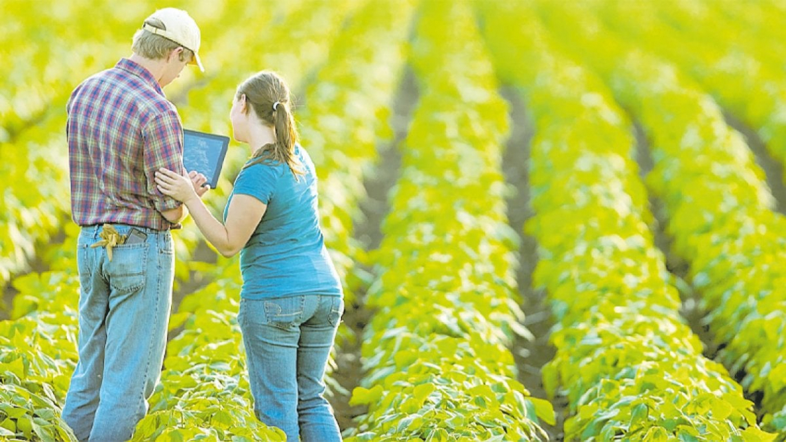 In Sicilia ai giovani assegnati i primi 430 ettari per uso agricolo e zootecnico