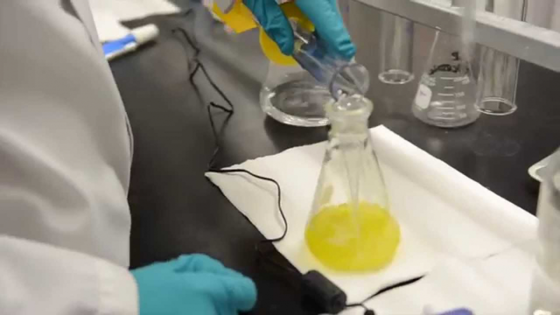 Messe a punto soluzioni innovative per controllare la qualità dell'olio d'oliva