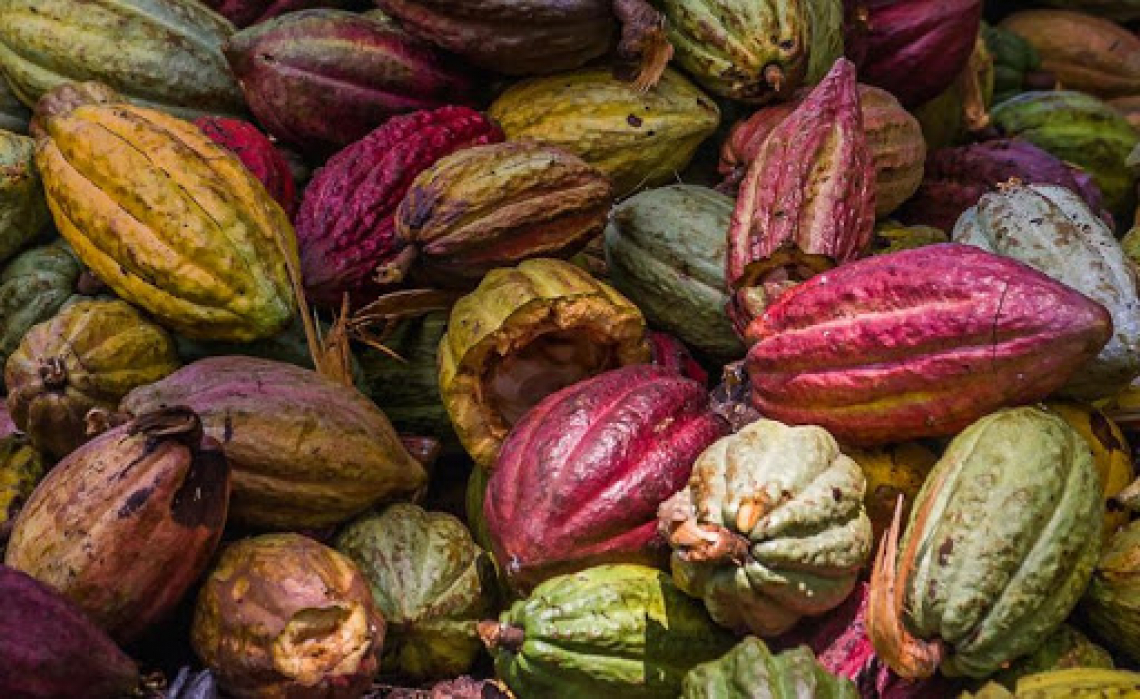 Per l'estate 2021 arriva il sorbetto al frutto di cacao