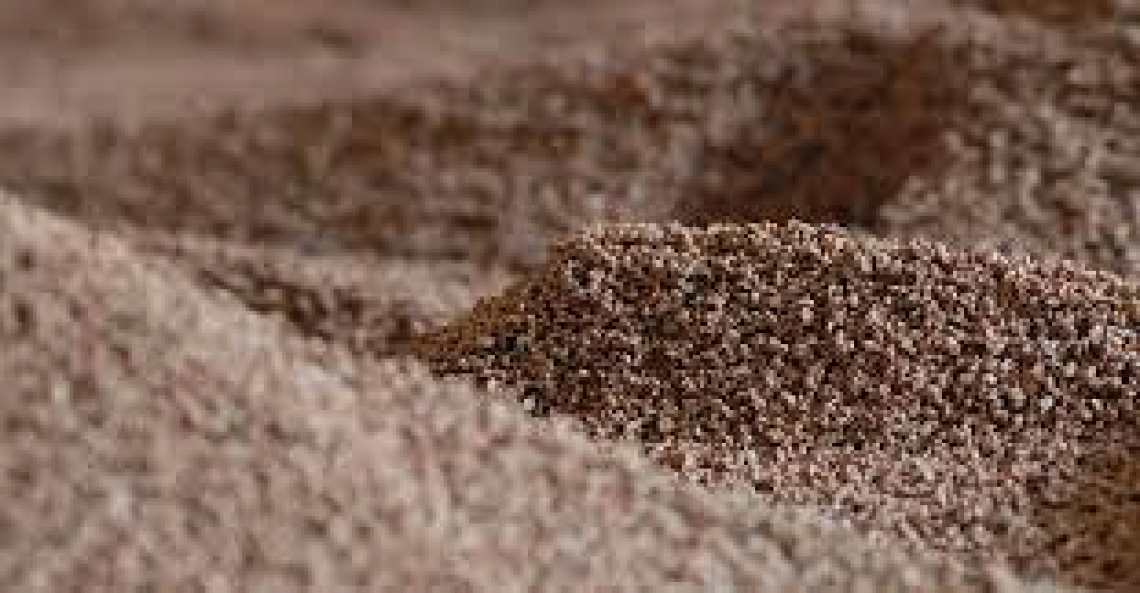 Dalla sperimentazione all'applicazione: una bioplastica dal nocciolino d'oliva