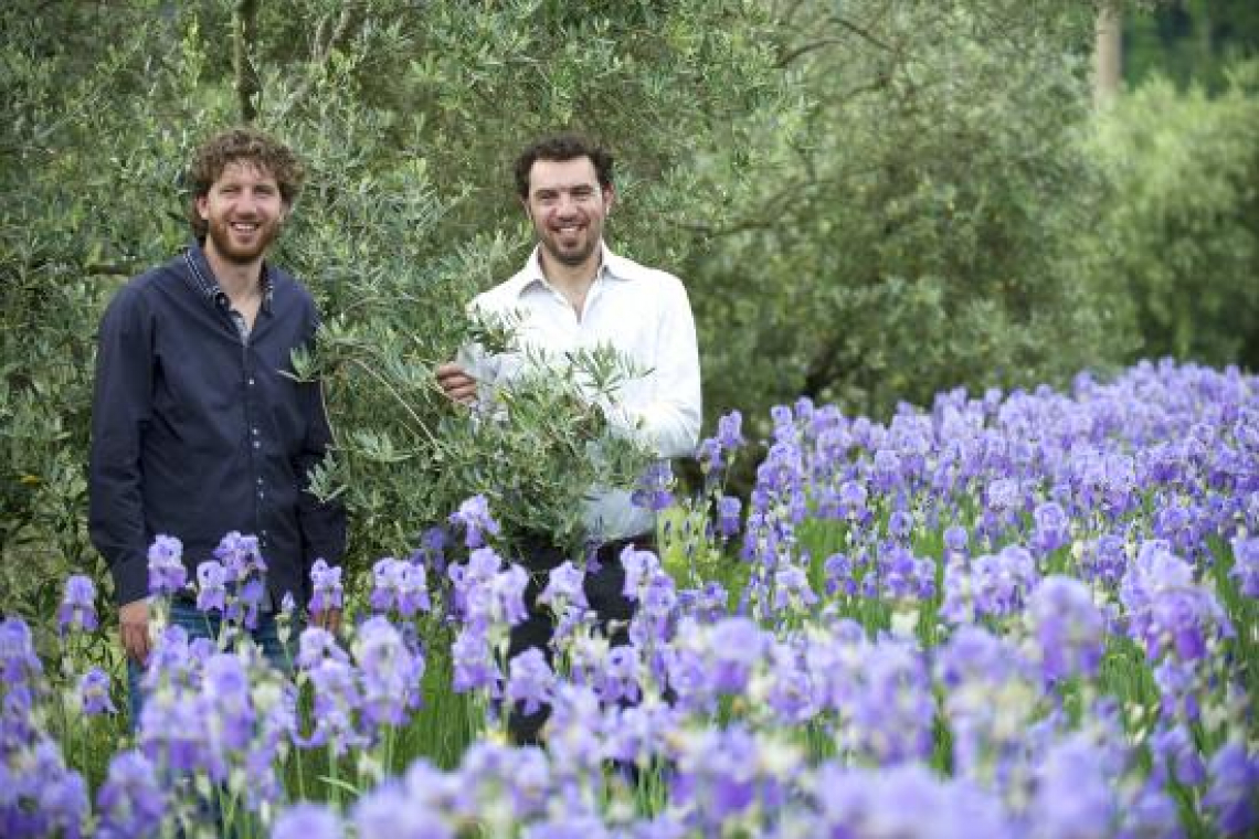 Due giornate in Chianti alla scoperta della fioritura dell'iris