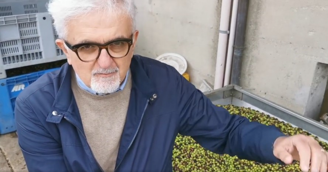 L'olio d'oliva è un compagno della nostra vita, non il prim'attore