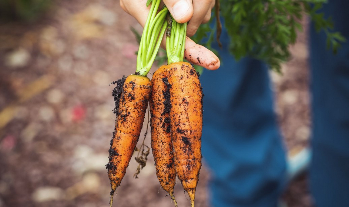 Il successo del cibo biologico è una storia di persone