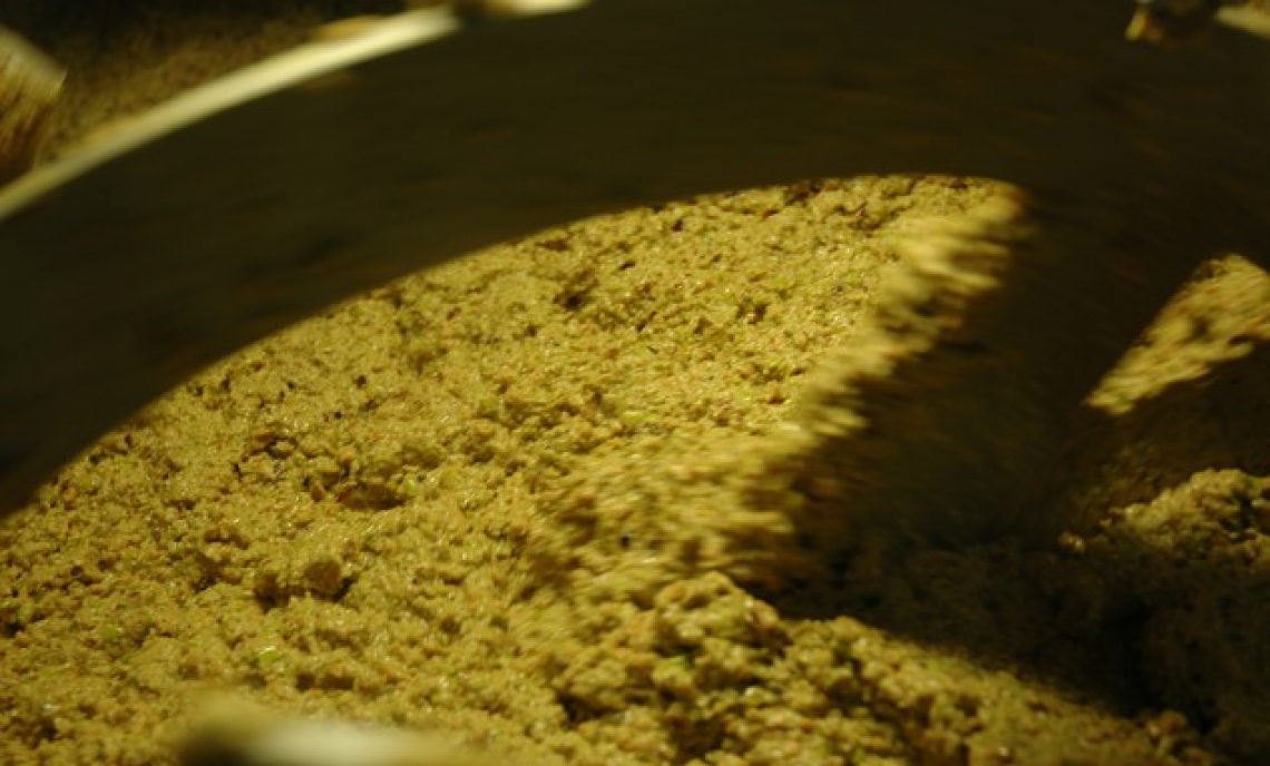 Come aumentare la resa in frantoio di 2 punti su olive mature