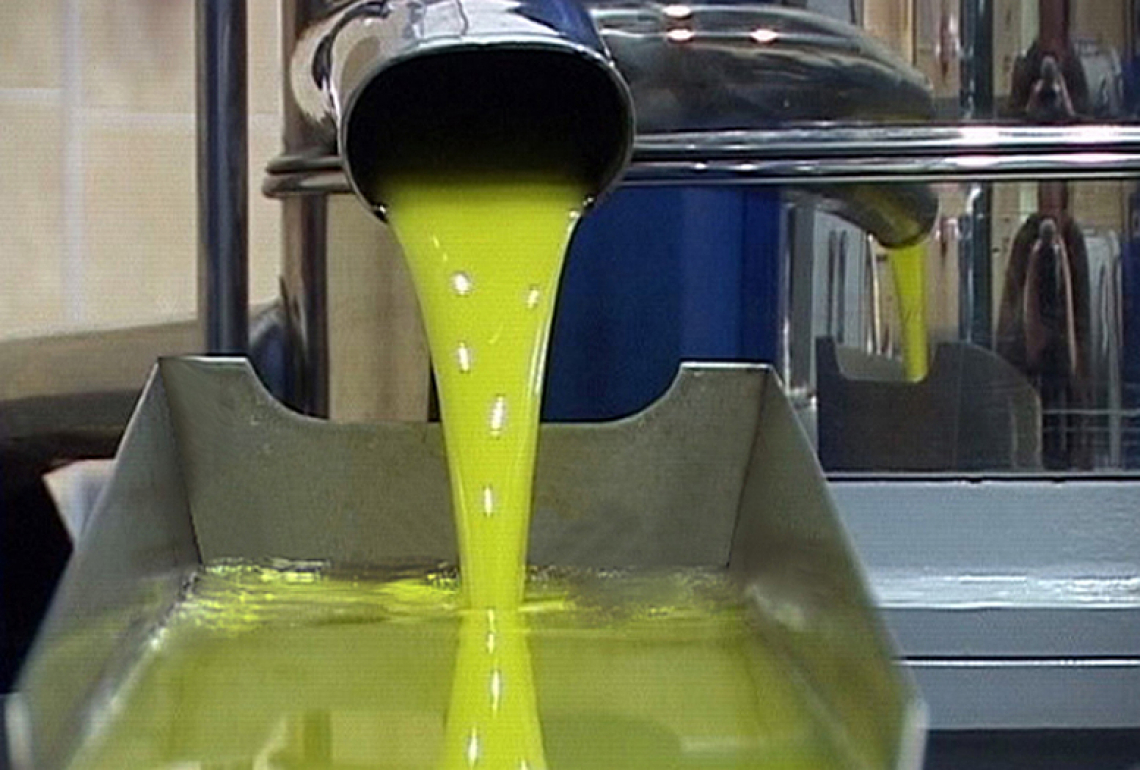 Buone notizie per la produzione di olio di oliva in Spagna
