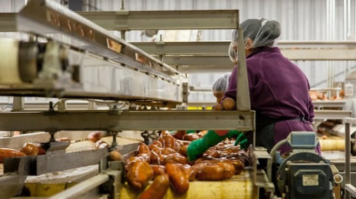 Il Covid decima la forza lavoro delle industrie agroalimentari