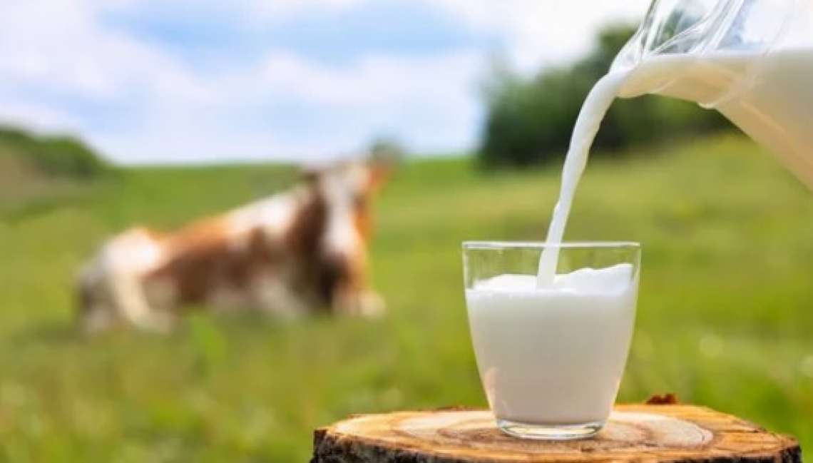 Proteine del latte in prodotti carnei: un aiuto per i consumatori allergici