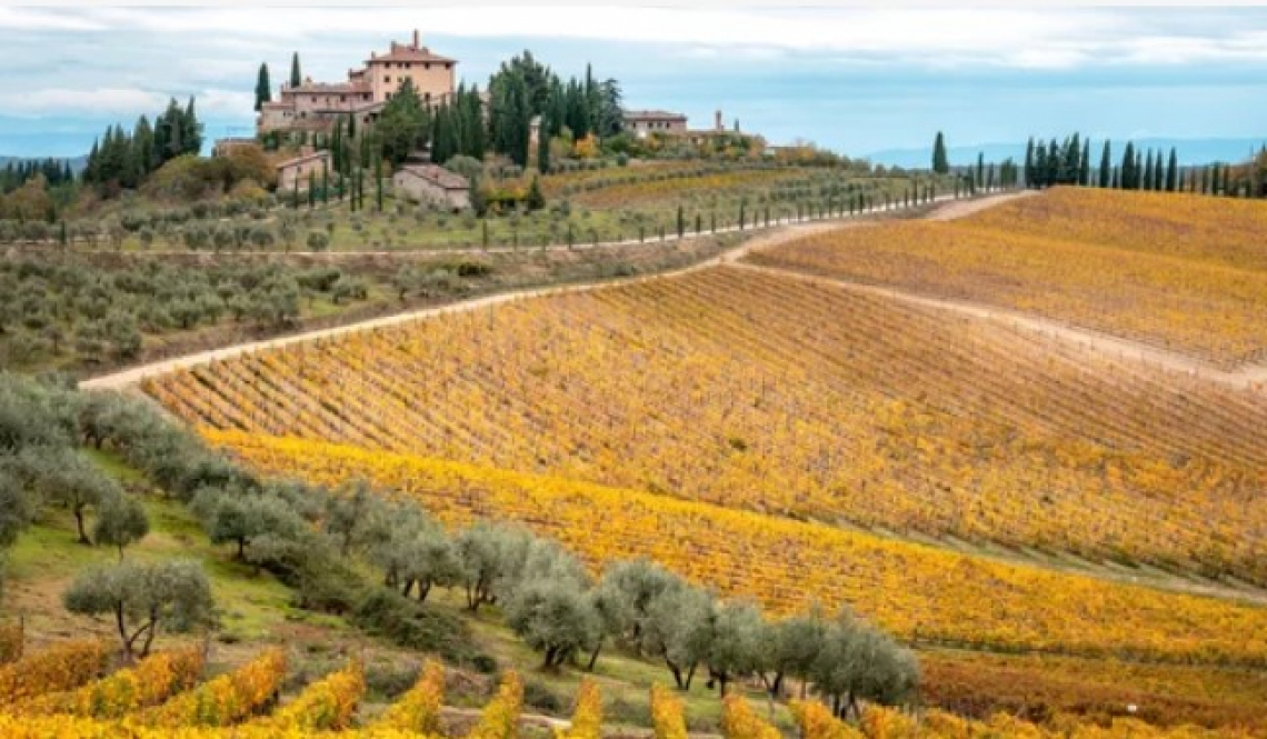 Il vino italiano vive di persone e di artisti che amano il loro territorio