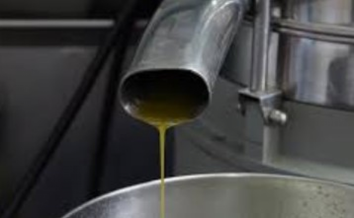 E' l'oleotecnico a fare la differenza nella qualità dell'olio di oliva