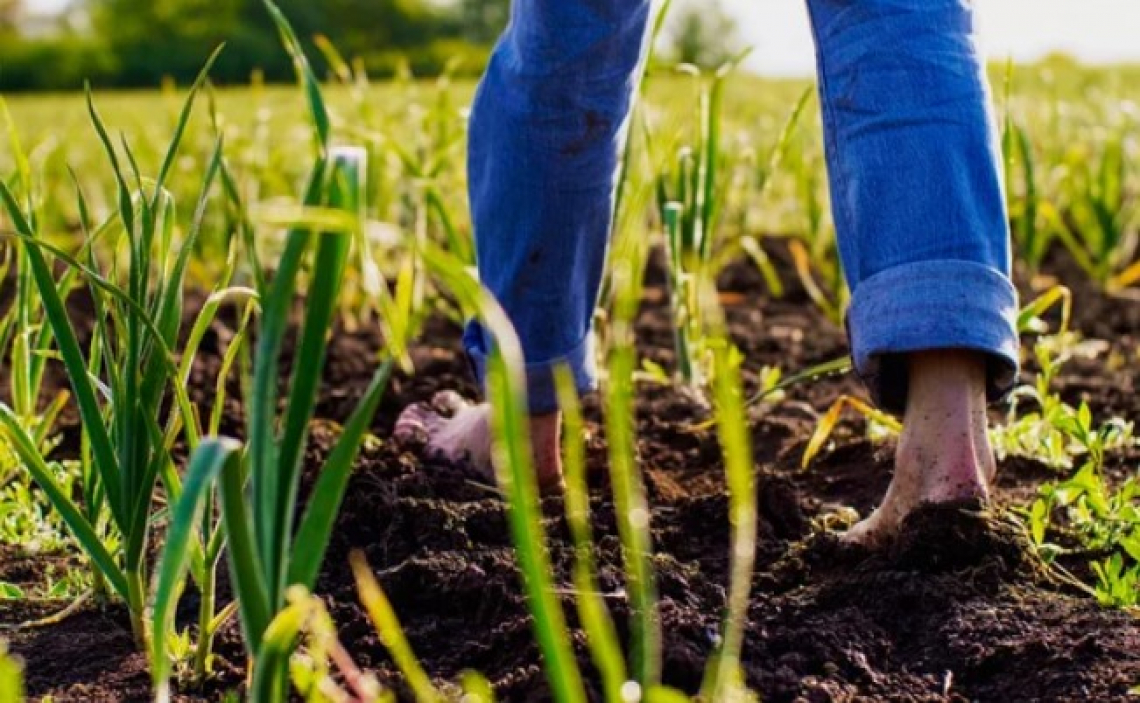 Il governo vuole avere carta bianca sulla legislazione agricola